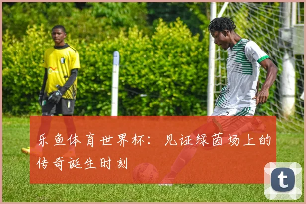 乐鱼体育世界杯:见证绿茵场上的传奇诞生时刻