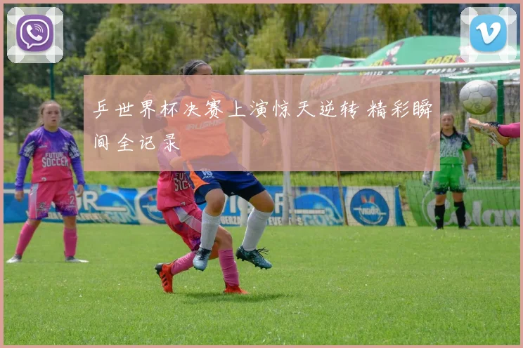 乒世界杯决赛上演惊天逆转 精彩瞬间全记录
