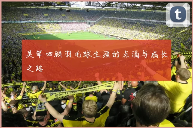 吴军回顾羽毛球生涯的点滴与成长之路