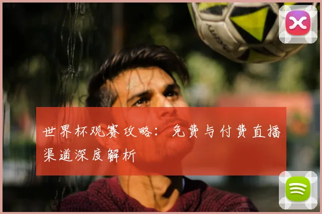 世界杯观赛攻略:免费与付费直播渠道深度解析