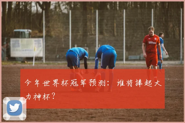 今年世界杯冠军预测:谁将捧起大力神杯?