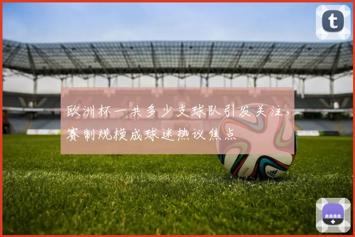 欧洲杯一共多少支球队引发关注,赛制规模成球迷热议焦点