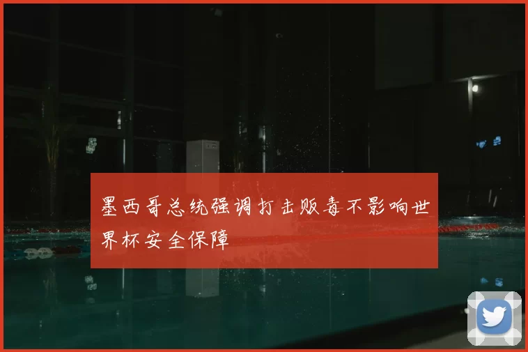墨西哥总统强调打击贩毒不影响世界杯安全保障