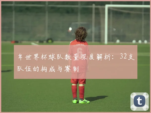 年世界杯球队数量深度解析：32支队伍的构成与赛制