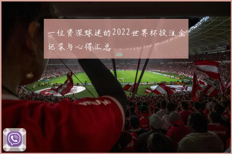 一位资深球迷的2022世界杯投注全记录与心得汇总