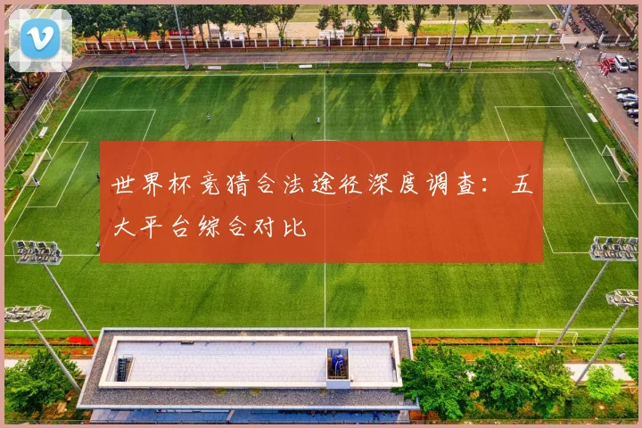 世界杯竞猜合法途径深度调查:五大平台综合对比