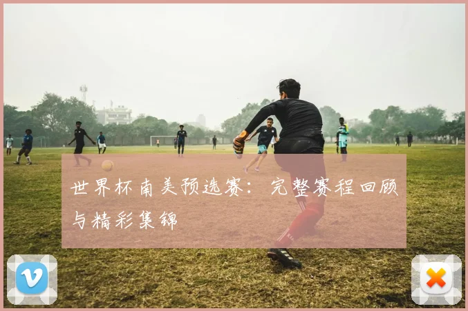 世界杯南美预选赛:完整赛程回顾与精彩集锦