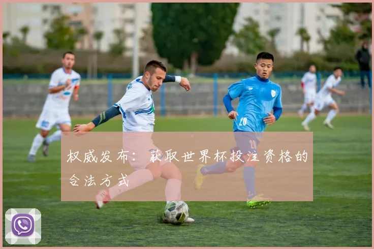 权威发布：获取世界杯投注资格的合法方式