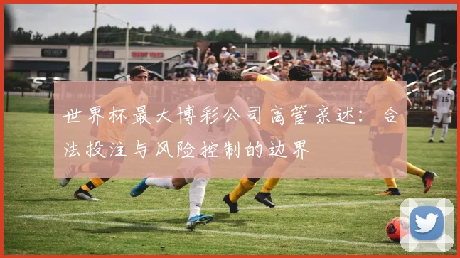世界杯最大博彩公司高管亲述:合法投注与风险控制的边界