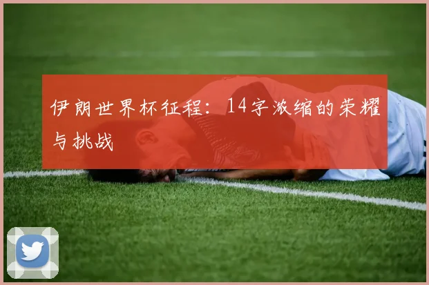 伊朗世界杯征程：14字浓缩的荣耀与挑战