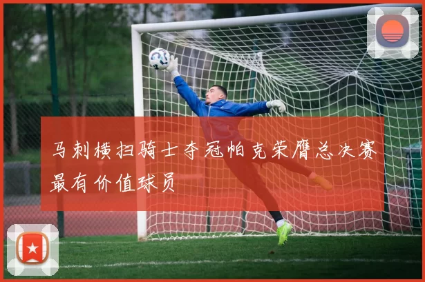 马刺横扫骑士夺冠帕克荣膺总决赛最有价值球员