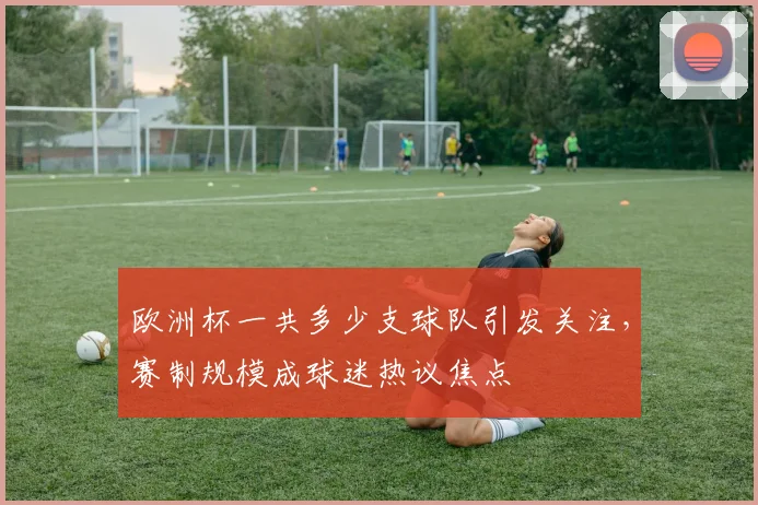 欧洲杯一共多少支球队引发关注,赛制规模成球迷热议焦点
