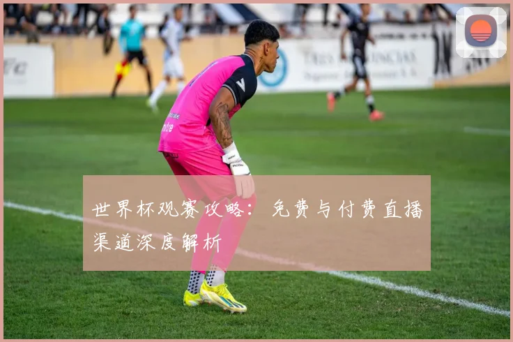 世界杯观赛攻略:免费与付费直播渠道深度解析