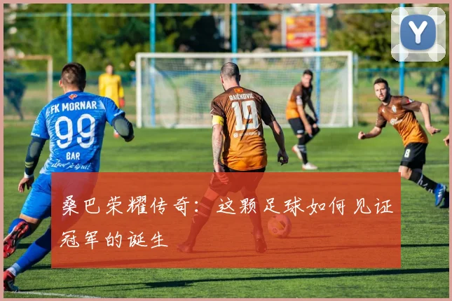 桑巴荣耀传奇：这颗足球如何见证冠军的诞生