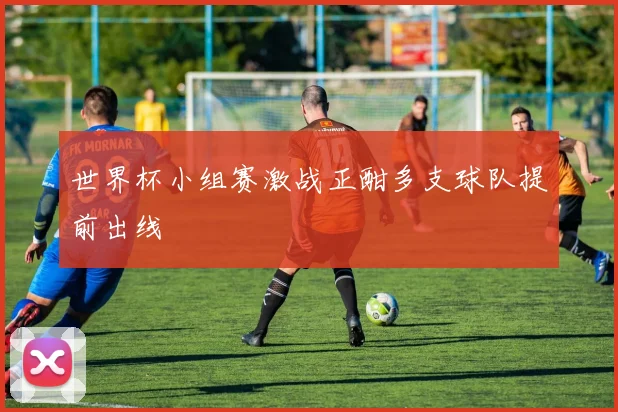 世界杯小组赛激战正酣多支球队提前出线